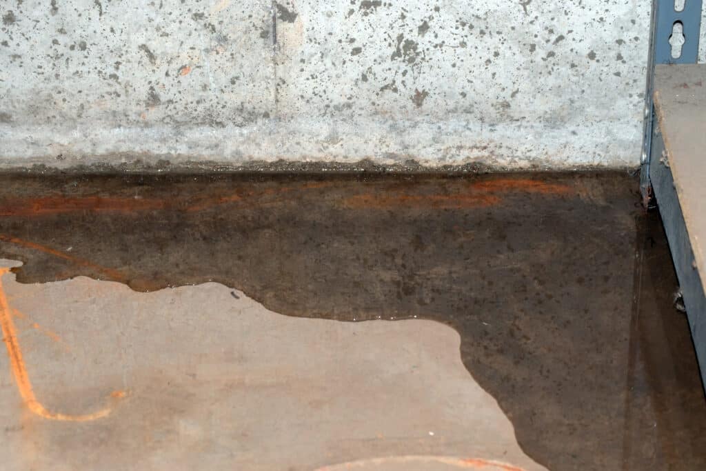 Preventing Moisture, Mold, and Mice: Sealing Your Basement Floor Preventing Moisture, Mold, and Mice: Sealing Your Basement Floor