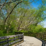 Epoxy Floors in Fulton County, GA Roswell Boardwalk in Fulton County, GA